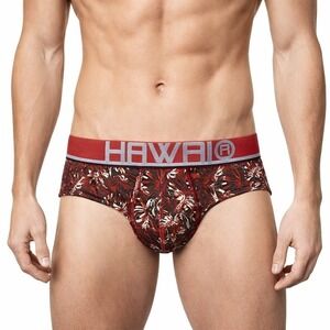Hawai Briefs Terracotta Size Small (28-30) NWT